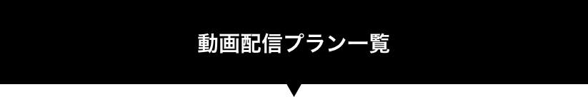 動画配信プラン一覧